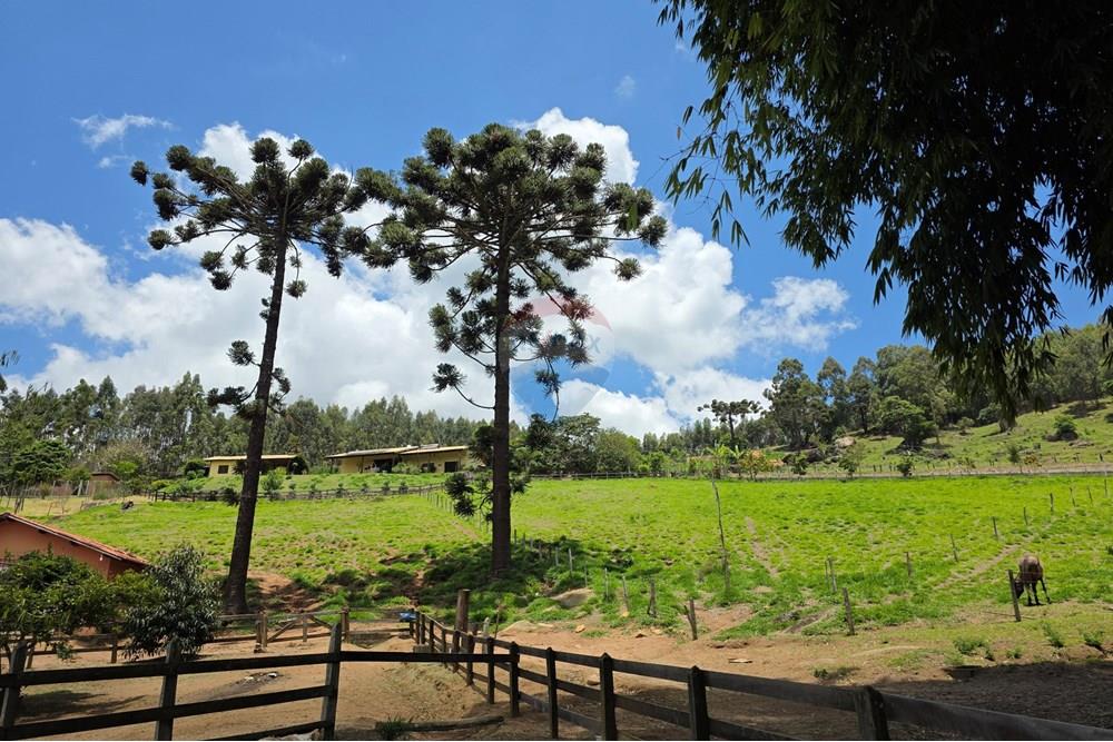 Chácara / Sítio / Fazenda - Venda - Pedra Bela , São Paulo - 20251111_121123.jpg - 690041041-48