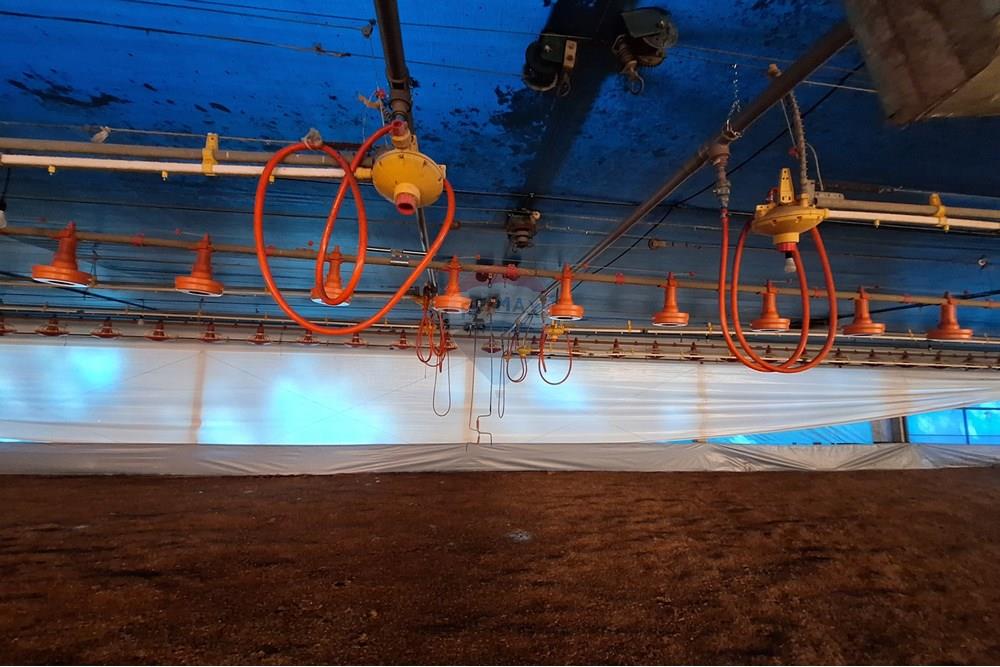 Chácara / Sítio / Fazenda - Venda - Itapira , São Paulo - 20250626_094146.jpg - 690751048-290