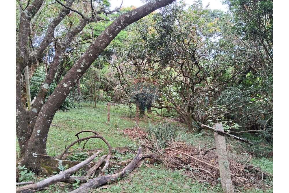 Chácara / Sítio / Fazenda - Venda - Valinhos , São Paulo - foto 4.jpg - 690851076-164