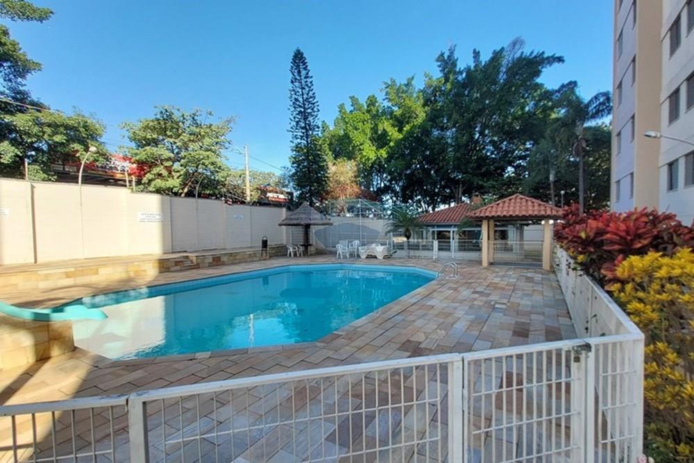 Apartamento - Venda - Campinas , São Paulo - 20250529_143729.jpg - 690181001-432