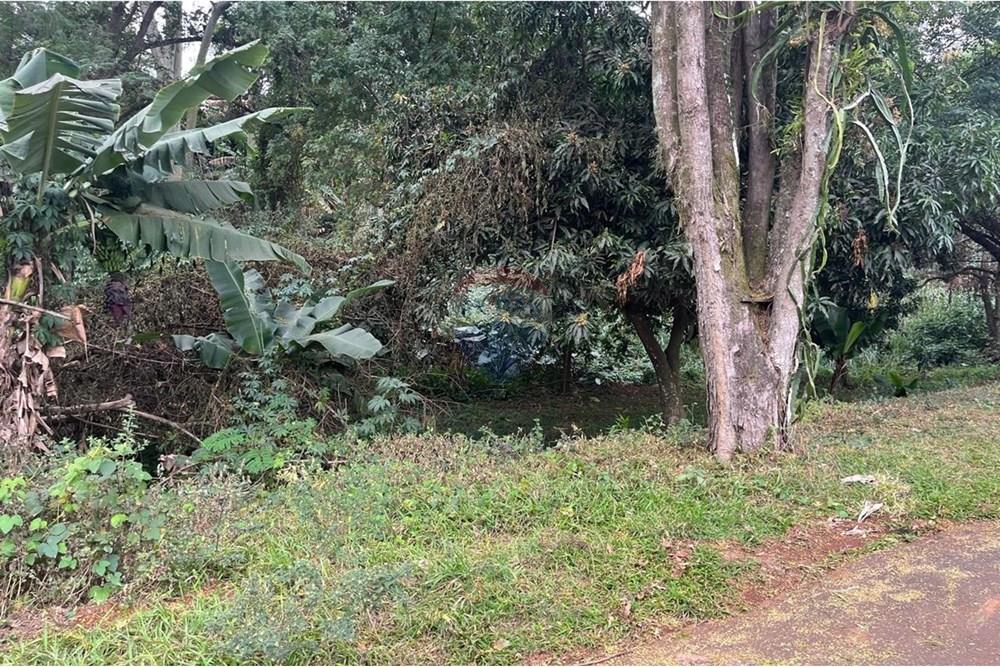 Casa - Venda - Paulínia , São Paulo - WhatsApp Image 2025-08-06 at 11.22.17.jpeg - 691181004-66