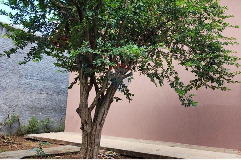 Casa - Alugar - Atibaia , São Paulo - WhatsApp Image 2026-03-25 at 19.09.59 (2).jpeg - Quintal - 690471190-12