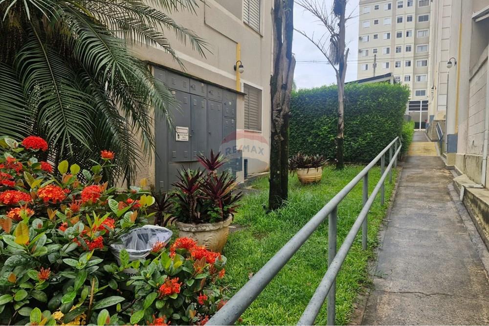 Apartamento - Alugar - Paulínia , São Paulo - WhatsApp Image 2026-03-10 at 14.57.53.jpeg - 690511202-88