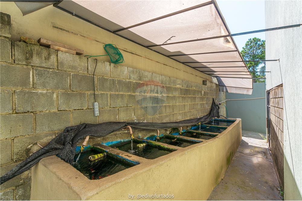 Ponto Comercial/ Loja - Venda - Vinhedo , São Paulo - 17 - 691091010-159