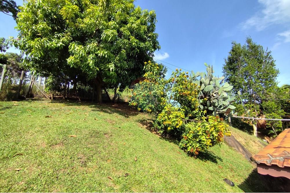 Chácara / Sítio / Fazenda - Venda - Itapira , São Paulo - 1751510168703.jpg - 690291085-364