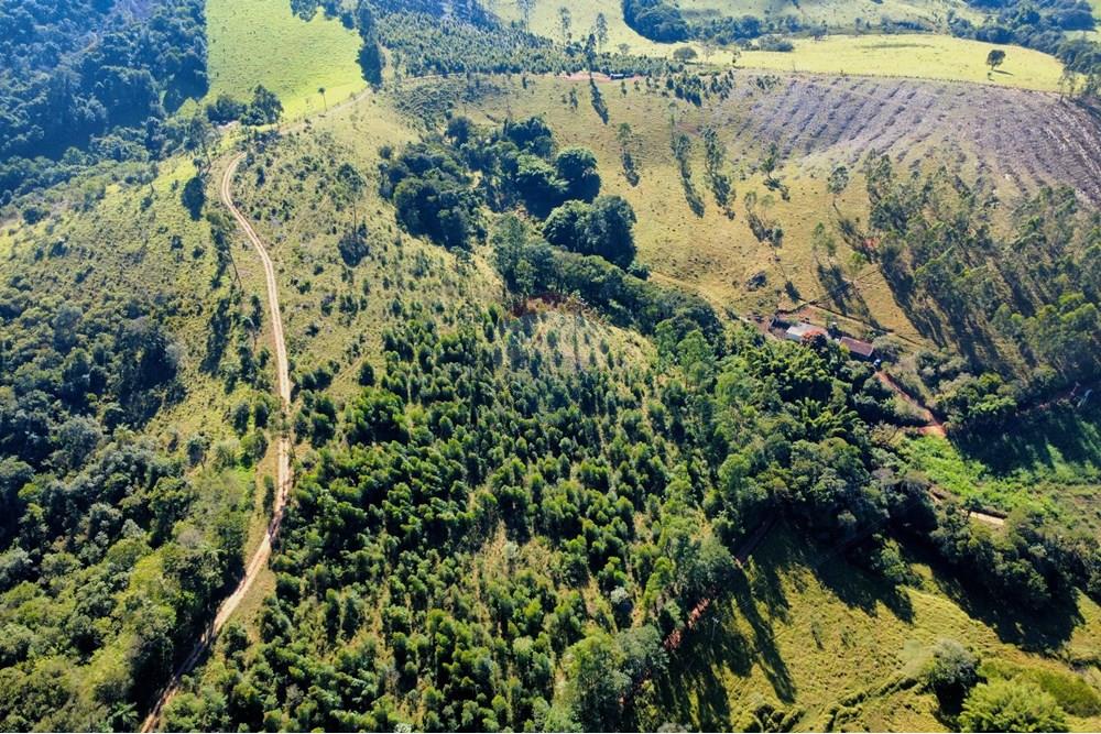 Chácara / Sítio / Fazenda - Venda - Socorro , São Paulo - dji_fly_20250617_095640_237_1750165136237_photo_optimized.jpg - 690291056-39