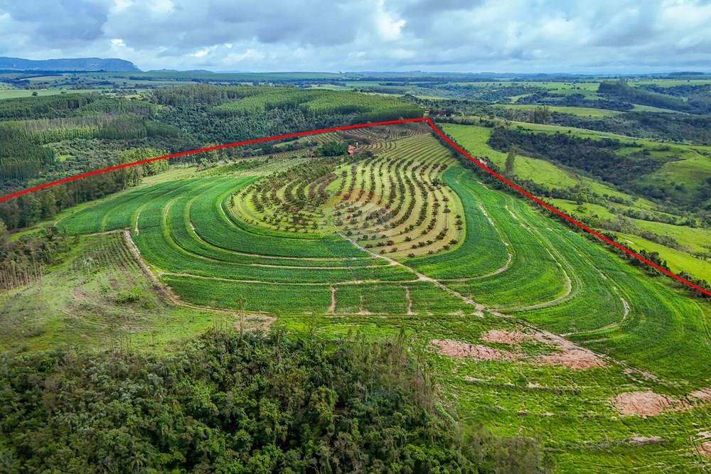 Fazenda - Venda - Analândia , São Paulo - Tratada - Drone-18.jpg - 690691016-305