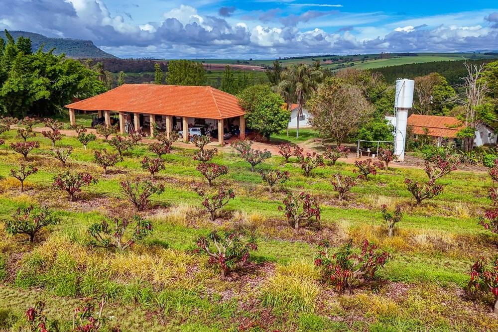 Fazenda - Venda - Analândia , São Paulo - Tratada - Drone-72.jpg - 690691016-305