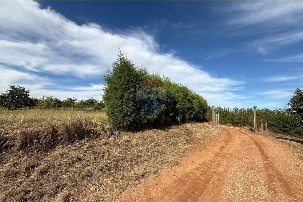 Chácara / Sítio / Fazenda - Venda - Itapira , São Paulo - WhatsApp Image 2025-07-07 at 10.48.43 (2).jpeg - 690521014-143