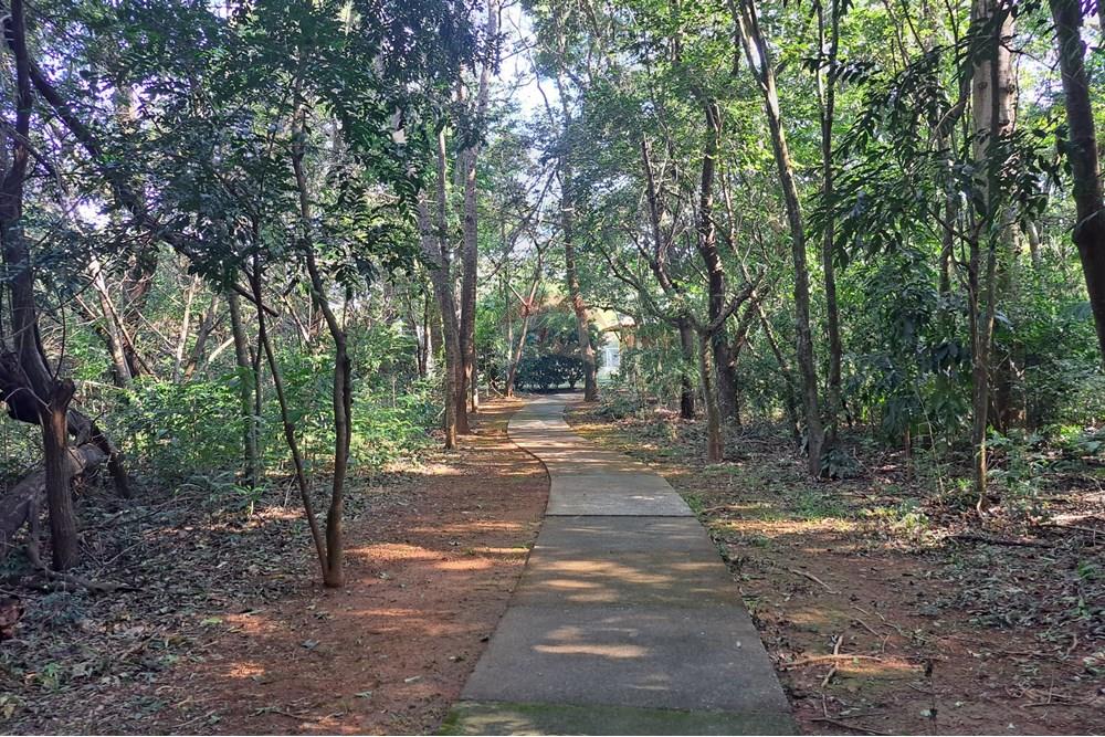 Terreno - Venda - Campinas , São Paulo - Caminhada.jpg - 690681098-44