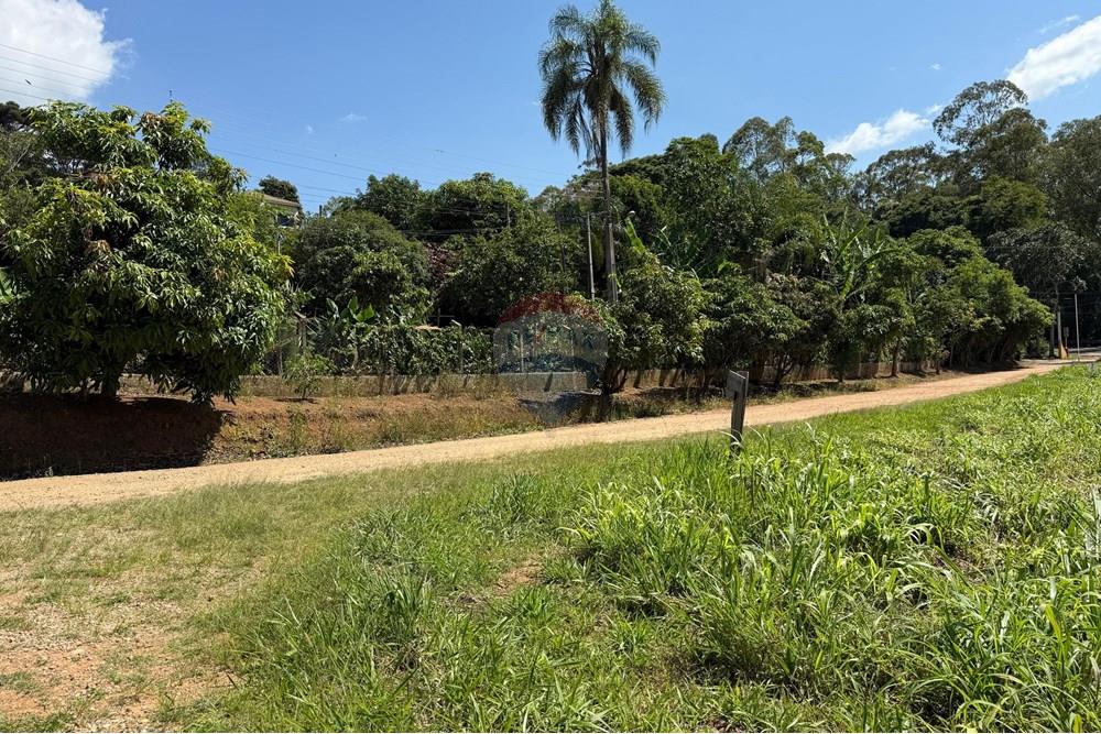 Terreno - Venda - Tuiuti , São Paulo - lote t 13.jpeg - 690041137-56