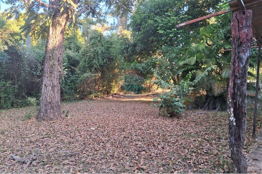 Chácara / Sítio / Fazenda - Venda - Mogi Mirim , São Paulo - chacara paola 23.jpeg - 690751035-87