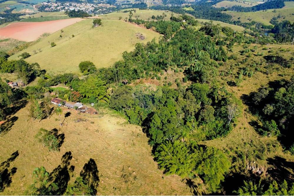 Chácara / Sítio / Fazenda - Venda - Socorro , São Paulo - dji_fly_20250617_095150_220_1750164742821_photo_optimized.jpg - 690291056-39