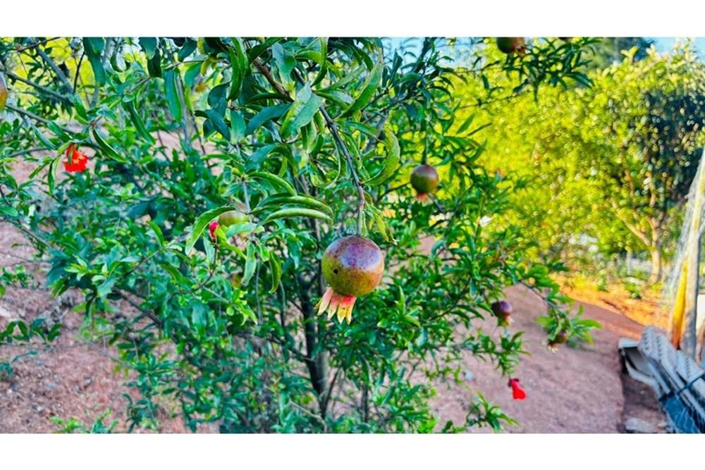 Chácara / Sítio / Fazenda - Venda - Itatiba , São Paulo - WhatsApp Image 2025-10-30 at 15.28.17.jpeg - 690661109-25