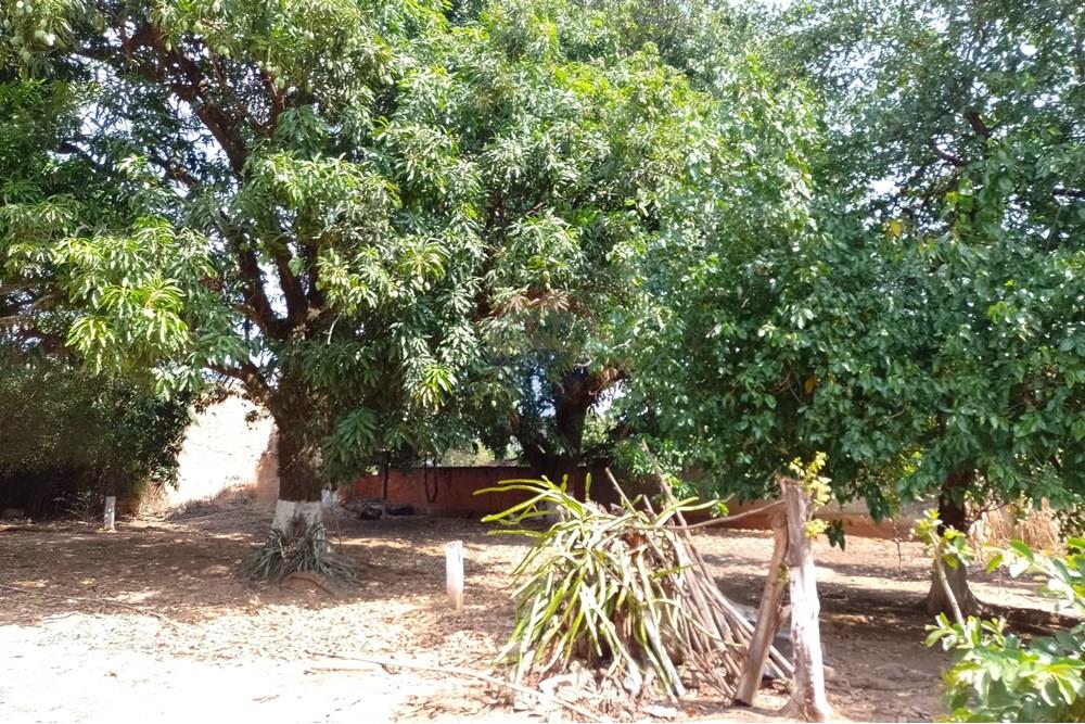 Terreno - Venda - Cosmópolis , São Paulo - fachada (18).jpg - Jardim Interno - 690511357-364