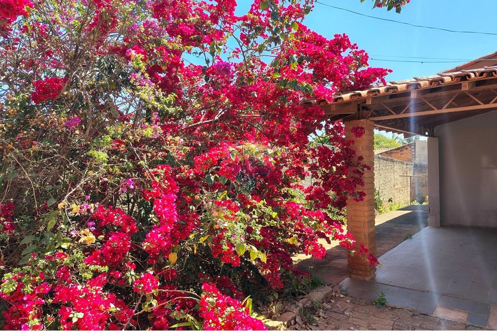 Chácara / Sítio / Fazenda - Venda - Cosmópolis , São Paulo - IMG_20250917_130343084_HDR-EDIT.jpg - 690511001-1554