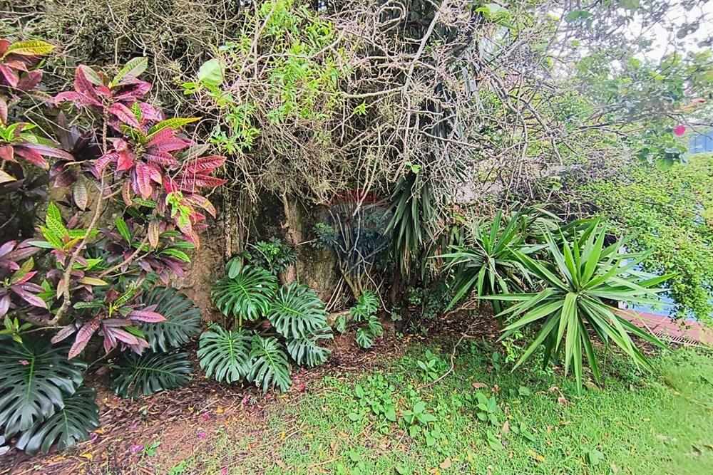 Casa - Alugar - Campinas , São Paulo - WhatsApp Image 2026-01-13 at 12.00.29 (2).jpeg - Jardim Externo - 690681149-70