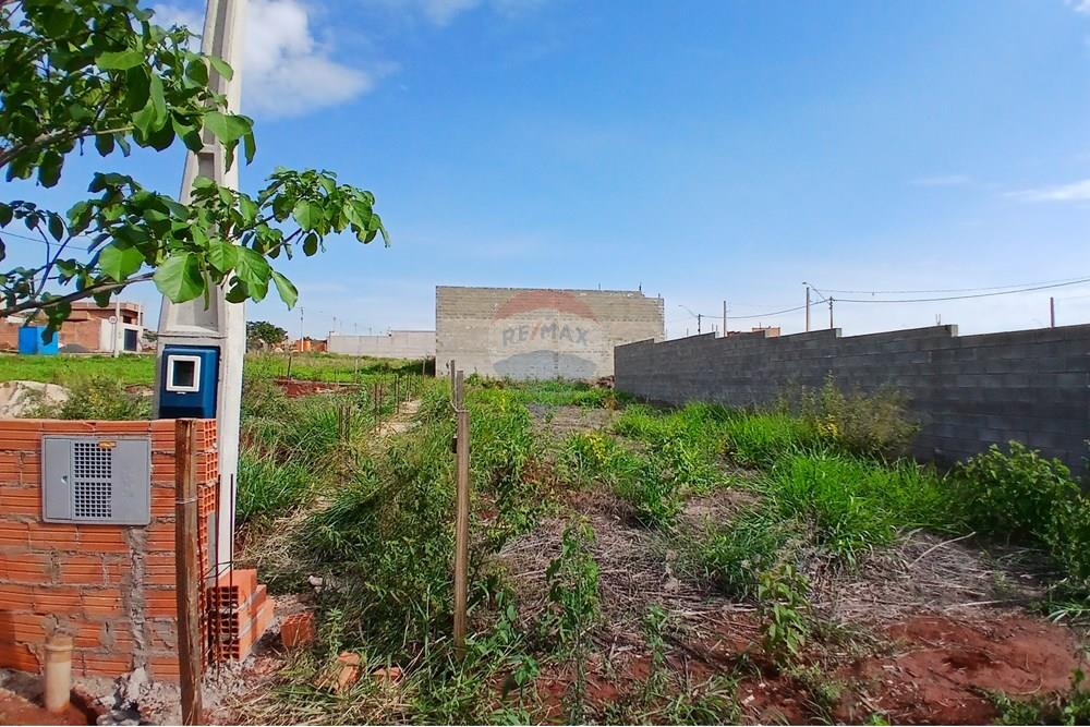 Terreno - Venda - Hortolândia , São Paulo - 20251114_154018.jpg - 690531094-18