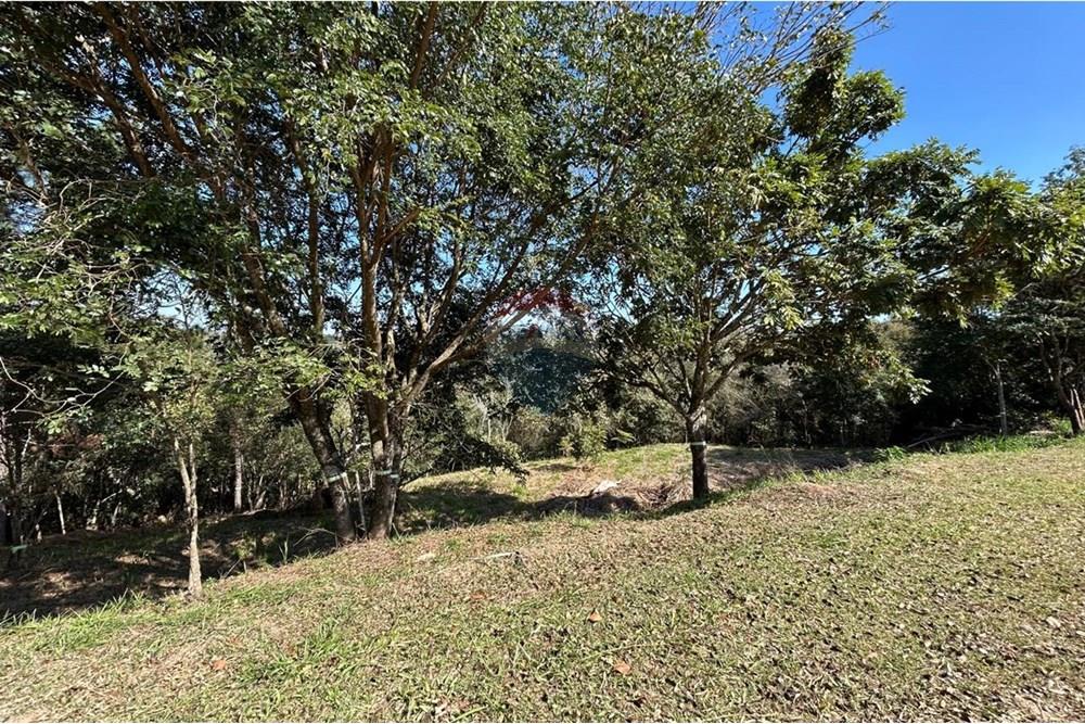 Terreno - Venda - Jarinu , São Paulo - IMG-20250819-WA0036.jpg - 690661027-137