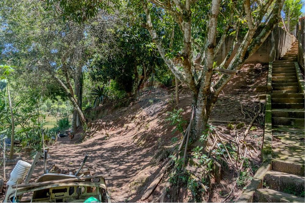 Chácara / Sítio / Fazenda - Venda - Jarinu , São Paulo - RINf-048.jpg - 690921112-9