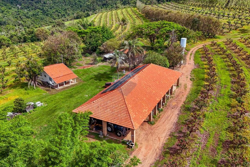 Fazenda - Venda - Analândia , São Paulo - Tratada - Drone-65.jpg - 690691016-305