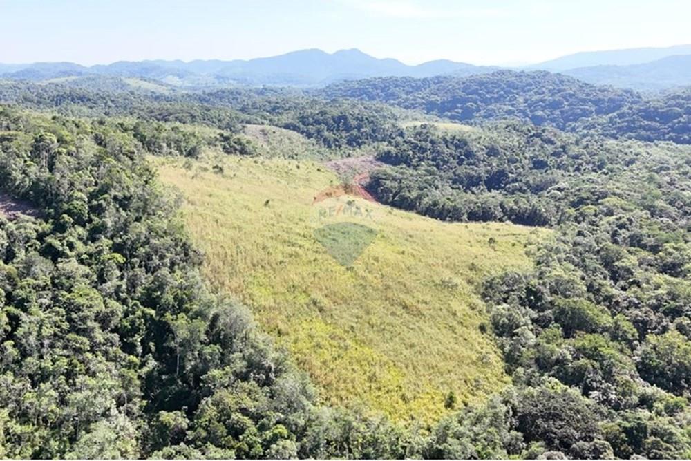 Fazenda - Venda - Miracatu , São Paulo - WhatsApp Image 2025-05-20 at 13.33.59.jpeg - 690061038-9