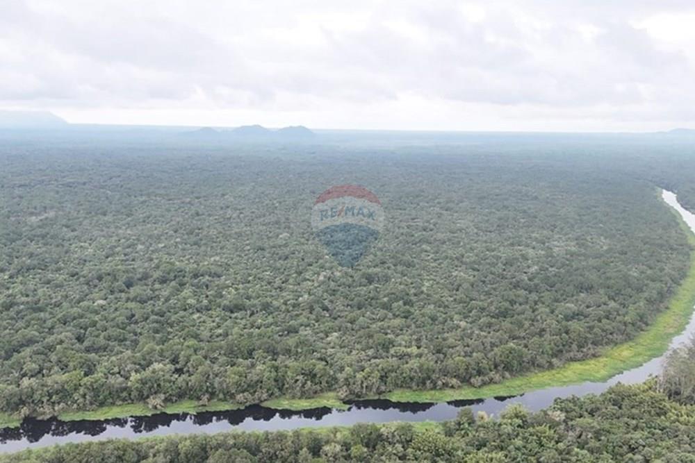 Fazenda - Venda - Iguape , São Paulo - WhatsApp Image 2025-08-11 at 16.22.22 (2).jpeg - 690061038-13