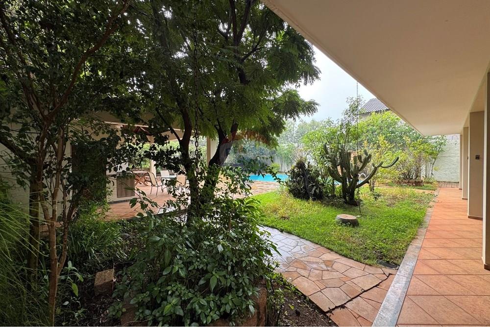 Casa Comercial - Alugar - Campinas , São Paulo - IMG_7019.JPEG - 691181013-20