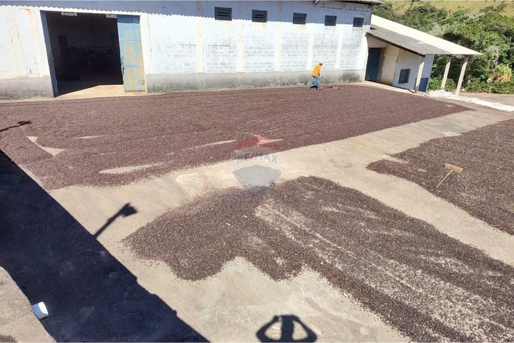 Chácara / Sítio / Fazenda - Venda - São Sebastião da Grama , São Paulo - WhatsApp Image 2026-02-28 at 11.12.08 (1).jpeg - 690681090-50