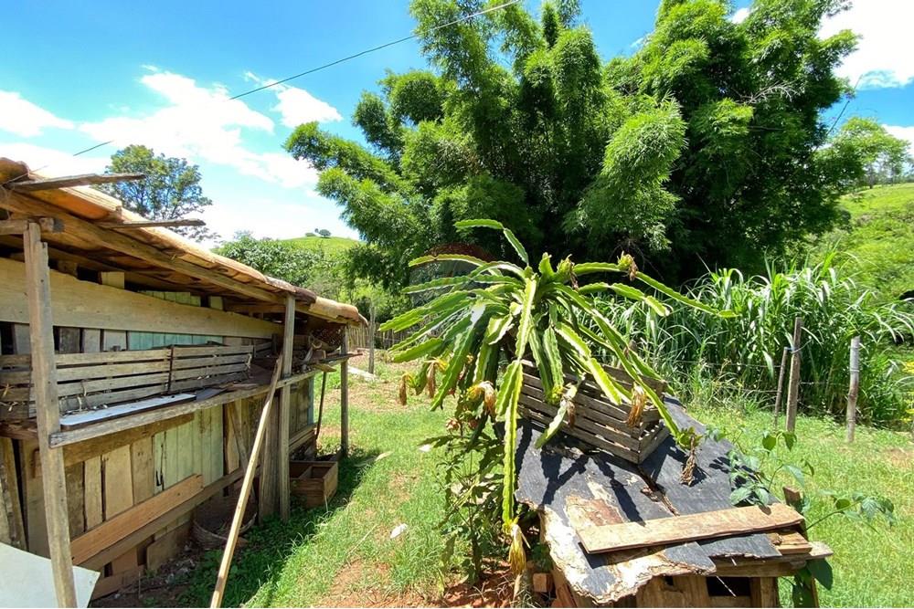 Chácara / Sítio / Fazenda - Venda - Lindóia , São Paulo - Imagem do WhatsApp de 2025-02-25 à(s) 19.33.40_bc67de85.jpg - 690291077-296