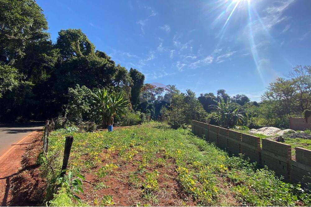 Terreno - Venda - Mogi Mirim , São Paulo - IMG_6541.JPEG - 690281041-98