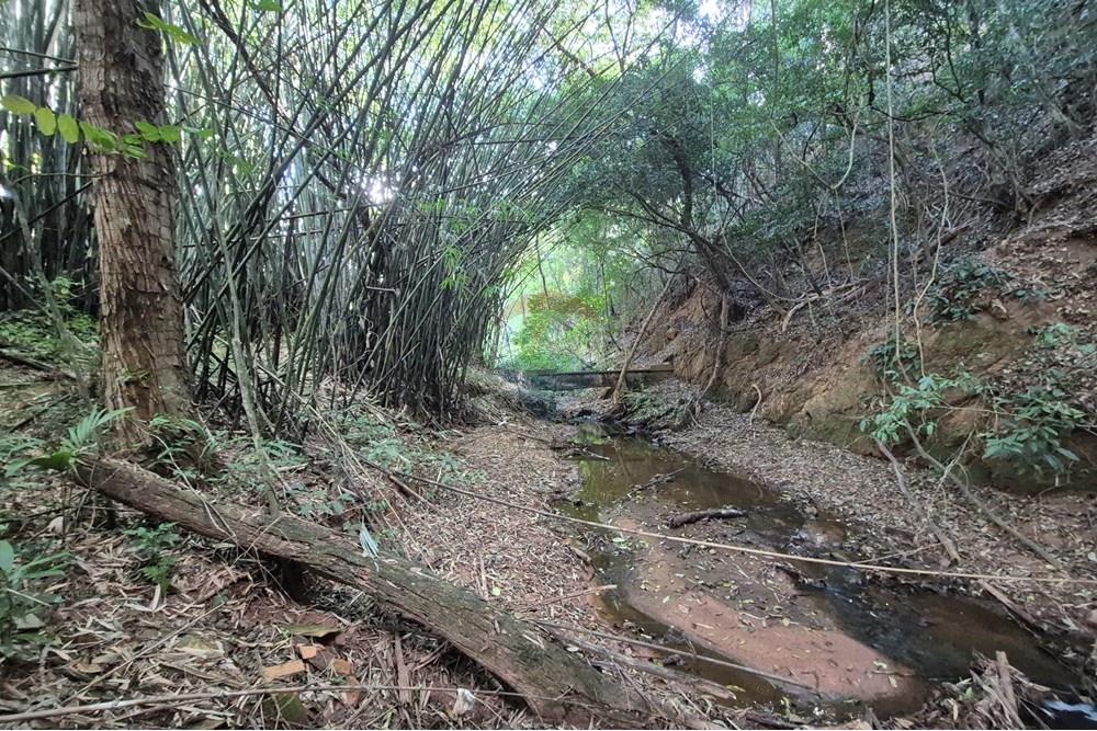 Chácara / Sítio / Fazenda - Venda - Amparo , São Paulo - 20250807_145600.jpg - 690681097-40