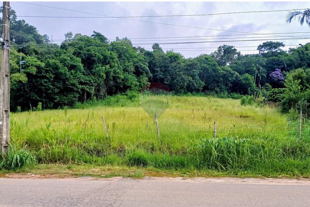 Terreno - Venda - Pedra Bela , São Paulo - 20260212_142711~2.jpg - 690141085-49