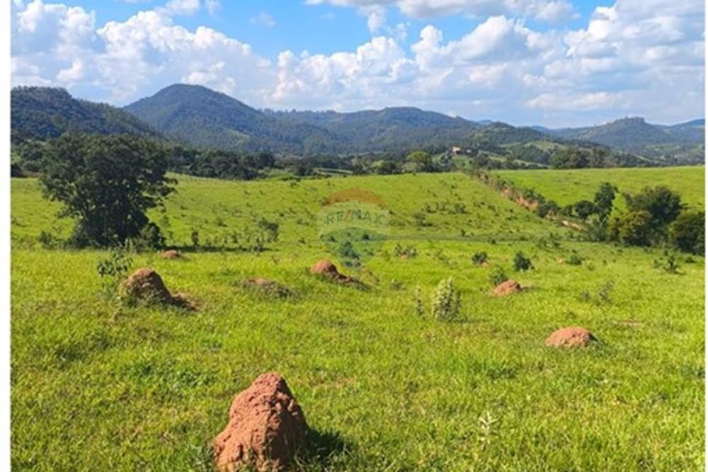 Chácara / Sítio / Fazenda - Venda - Morungaba , São Paulo - WhatsApp Image 2026-03-05 at 17.26.15 (1).jpeg - 691131002-3