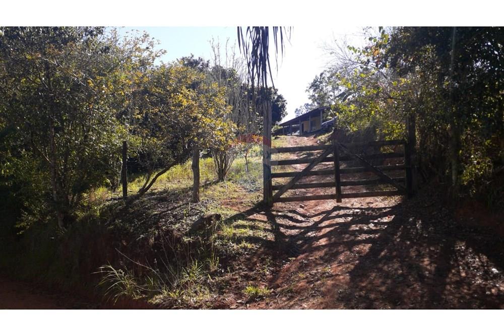 Chácara / Sítio / Fazenda - Venda - Socorro , São Paulo - IMG-20250617-WA0064.jpg - 690291056-39