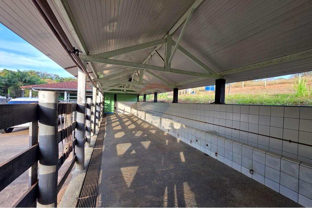 Chácara / Sítio / Fazenda - Venda - Itapira , São Paulo - 20250902_171116.jpg - 690521005-184