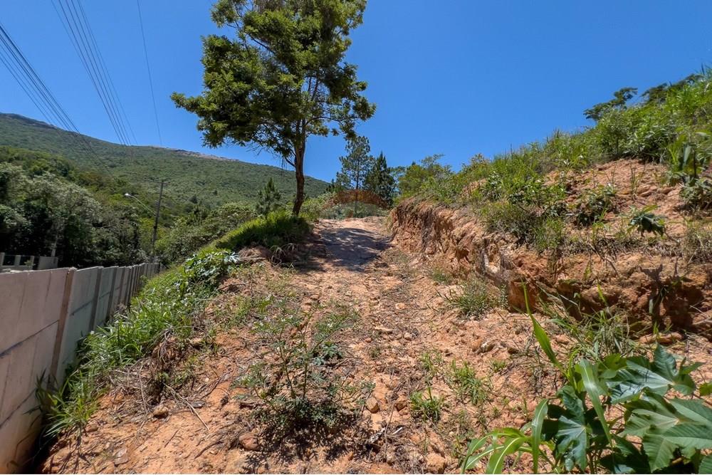 Terreno - Venda - Atibaia , São Paulo - IMG_6600.jpg - Quintal - 690471003-129