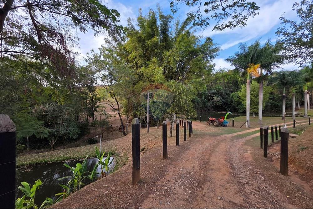 Chácara / Sítio / Fazenda - Venda - Itapira , São Paulo - 20250902_171450.jpg - 690521005-184