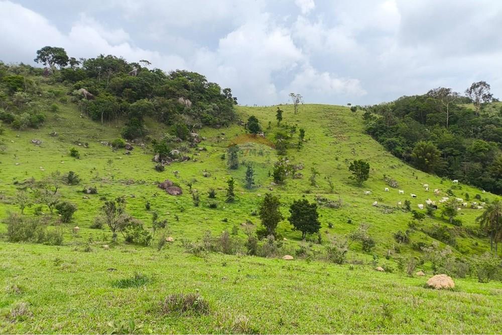 Chácara / Sítio / Fazenda - Venda - Morungaba , São Paulo - WhatsApp Image 2026-02-06 at 16.39.15.jpeg - 691131002-3