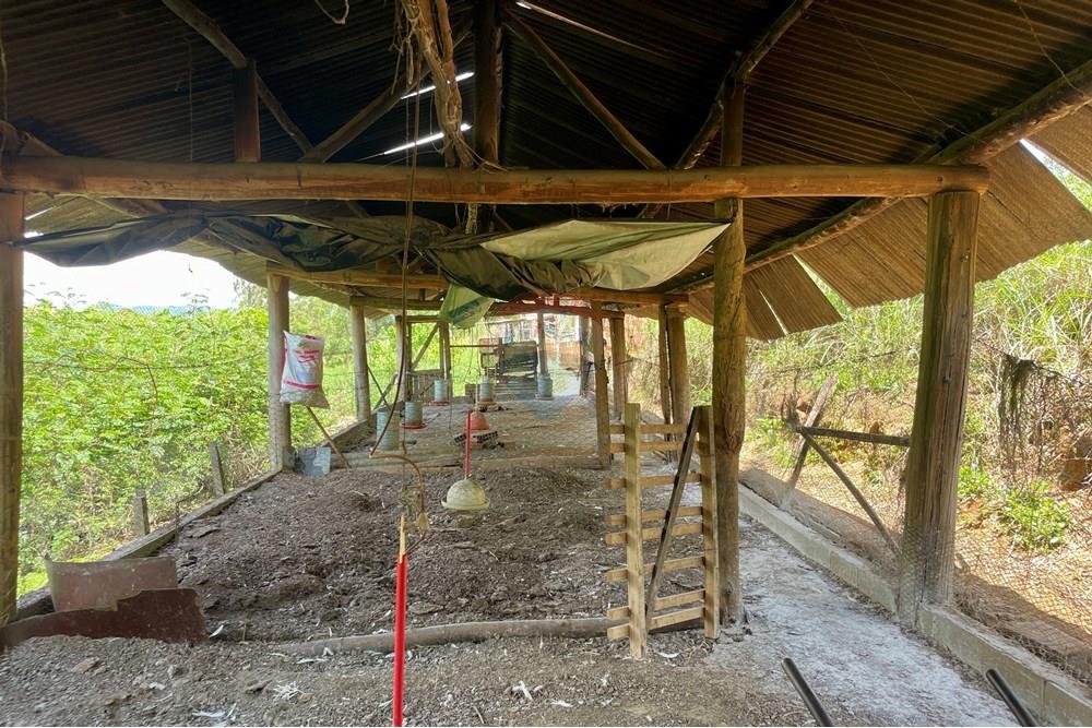 Fazenda - Venda - Campestre , Minas Gerais - IMG_6233.JPG - 690291077-293