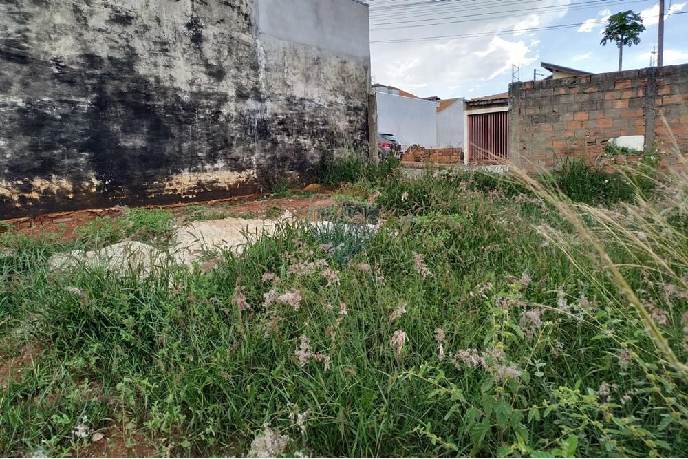 Terreno - Venda - Itapira , São Paulo - 1766266243046.jpg - 690291069-12