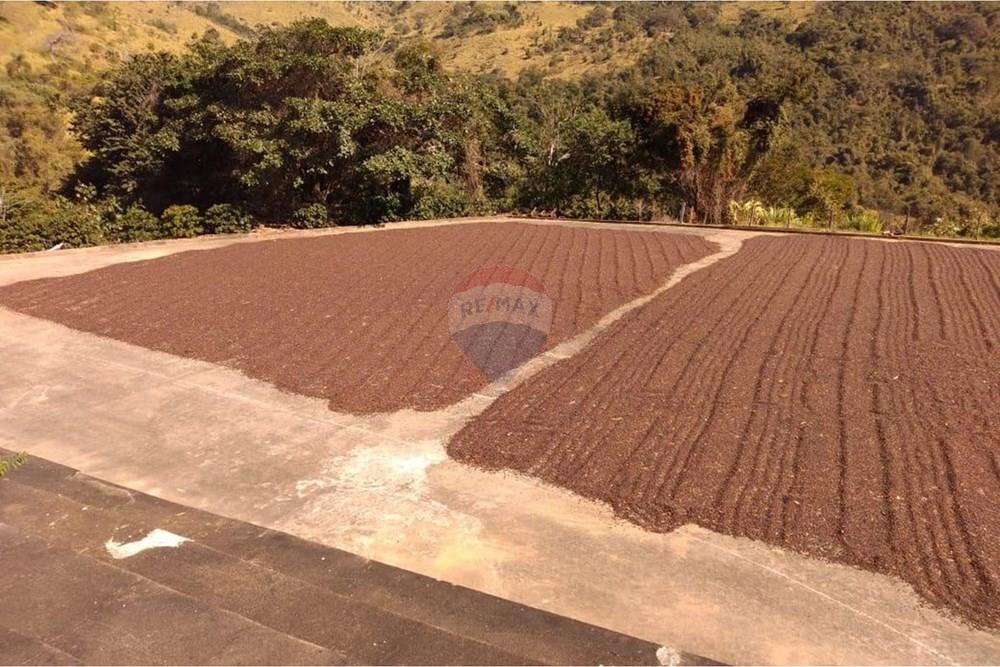 Chácara / Sítio / Fazenda - Venda - São Sebastião da Grama , São Paulo - WhatsApp Image 2026-02-05 at 14.42.44 (2).jpeg - 690681090-50