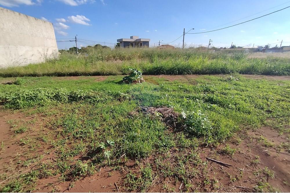 Terreno - Venda - Mogi Guaçu , São Paulo - IMG_20250430_153324.jpg - 690521005-80