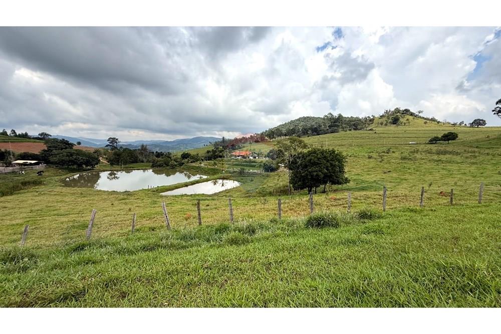 Chácara / Sítio / Fazenda - Venda - Itapira , São Paulo - WhatsApp Image 2025-04-16 at 08.26.37.jpeg - 690751048-152