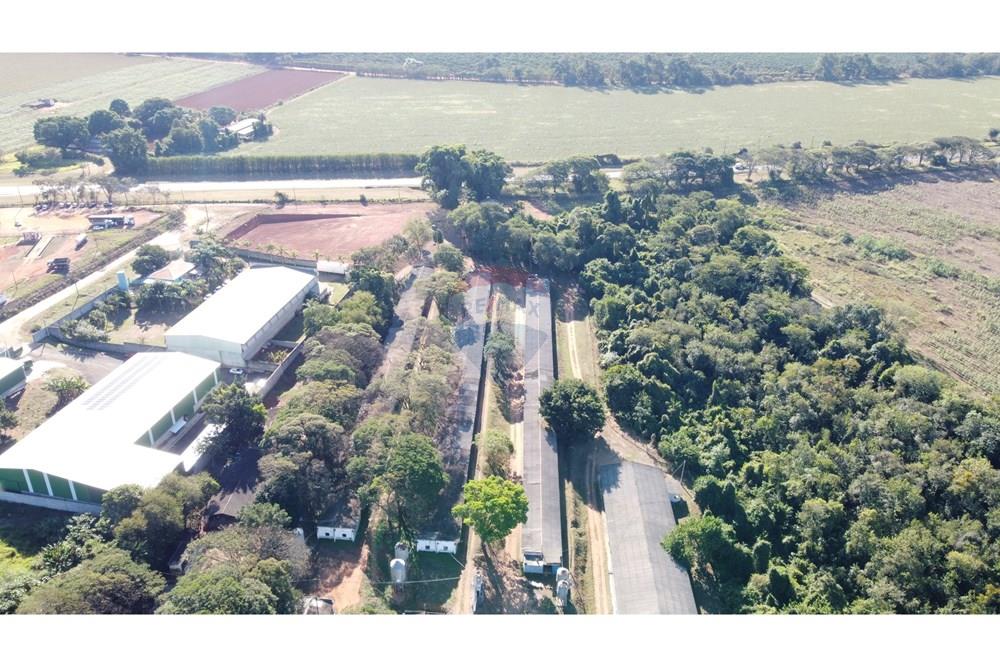 Chácara / Sítio / Fazenda - Venda - Conchal , São Paulo - DJI_0245.JPG - 690751019-291