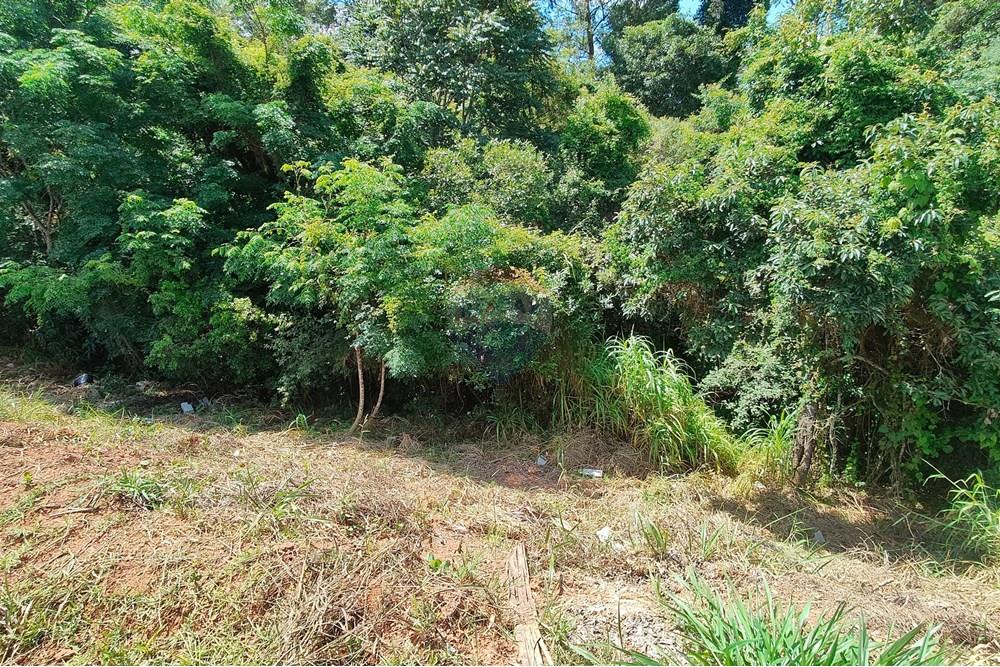 Terreno - Venda - Bragança Paulista , São Paulo - IMG-20250110-WA0058.jpg - 690041135-10