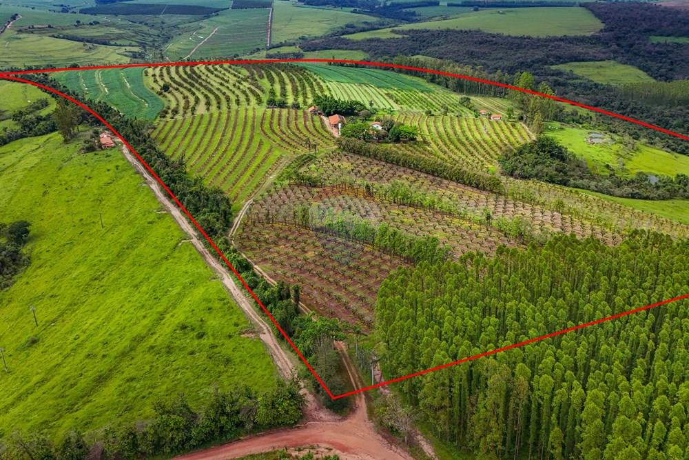 Fazenda - Venda - Analândia , São Paulo - Tratada - Drone-1.jpg - 690691016-305