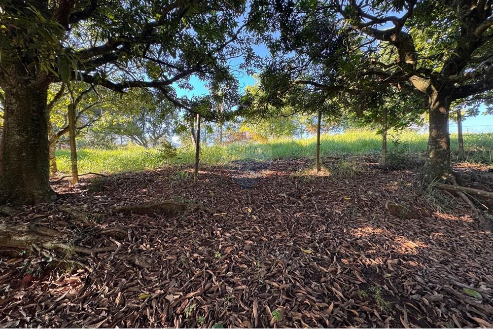 Terreno - Venda - Bragança Paulista , São Paulo - H - Foto Terreno Portal Barragem Jacareí 22.jpg - 690041052-92