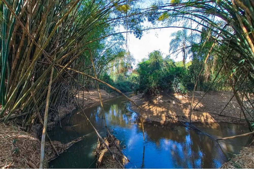 Chácara / Sítio / Fazenda - Venda - Santa Cruz da Conceição , São Paulo - Tratada-36.jpg - 690481001-177