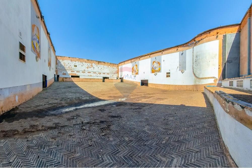 Ponto Comercial/ Loja - Venda - Leme , São Paulo - Tratada-14.jpg - 690691017-82